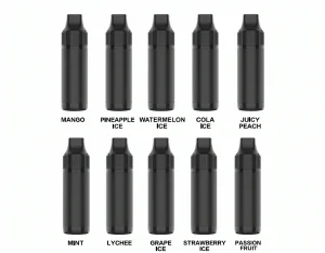 電子タバコ:10000 PUFFS
